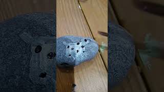 inspired by Sam toft pebbles paint art drawing satisfying video cat dog