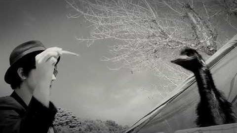 The Shys, "She