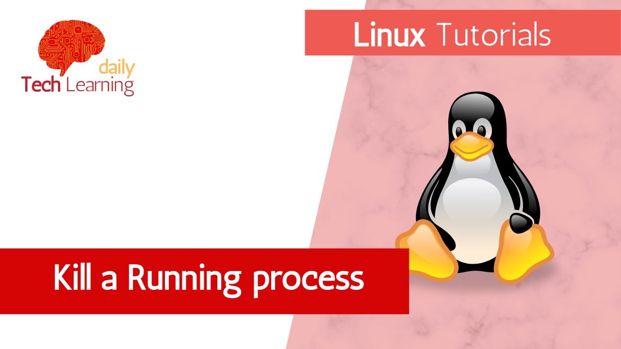 How To Kill A Running Process On Linux YouTube