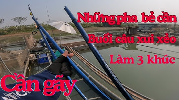 Câu lục đầu cần sông Thái Bình cạnh lồng bè nuôi cá - Những pha bẻ cần của cần thủ câu sông tự nhiên