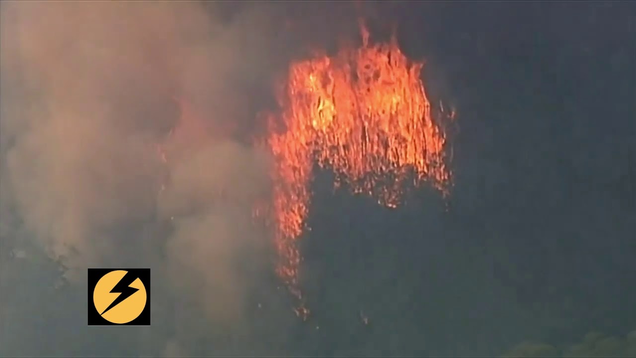 Australia's hottest summer on record || Dozens of bushes fire ||