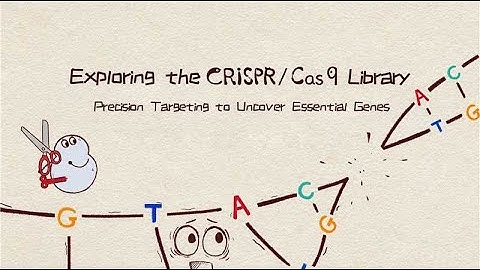 Exploring the CRISPR/Cas9 Library: Precision Targeting to Uncover Essential Genes