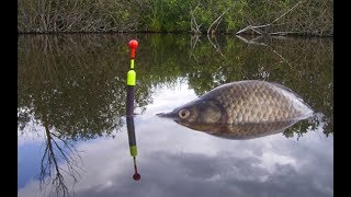 видео Охота и рыбалка