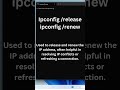 ipconfig #windows #networking
