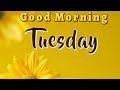 Good morning tuesday images !! Best good morning photos