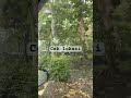 Cek lokasi ada sesuatu