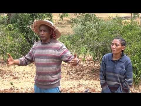 Aleta wondo _ Avocado Planting Pit Preparation