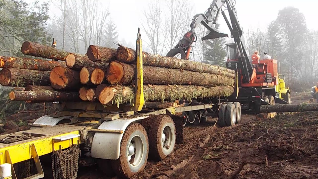 log shovel loading truck YouTube