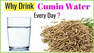 Celebrity Cumin Water: 7 Benefits to starting drink Every Day Profile