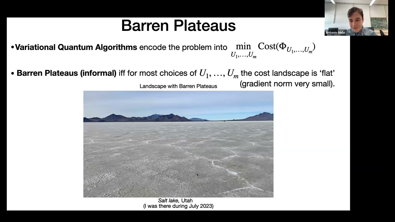 Noise induced shallow circuits and absence of barren plateaus