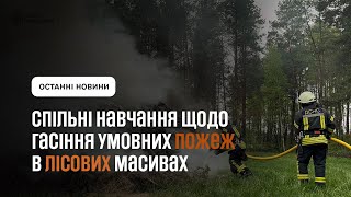 Проведено спільні навчання щодо гасіння умовних пожеж сухої рослинності в лісових масивах