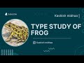 type study of frog chordates'