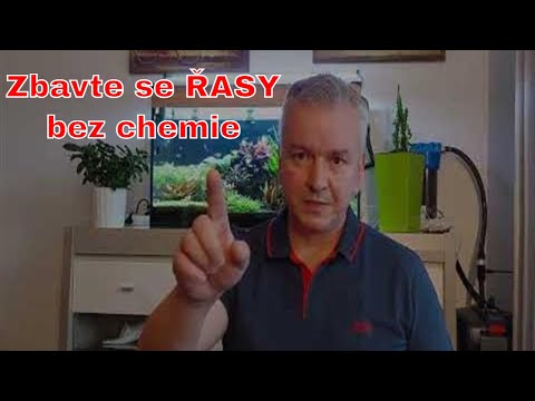 Video: Jsou rolaidy toxické pro psy?