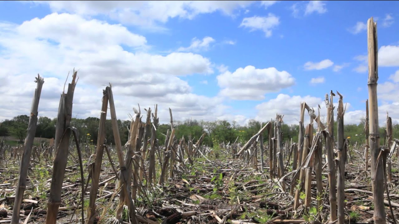 ACSD 2012 Conference - YouTube