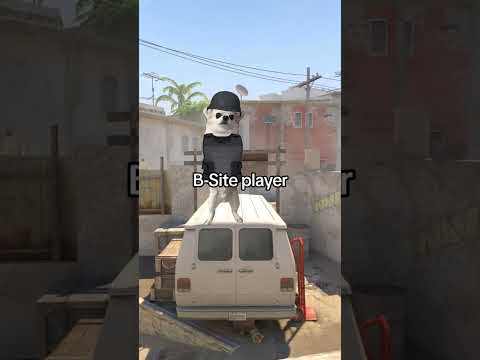 Only the smartest tactics #navi #cs2