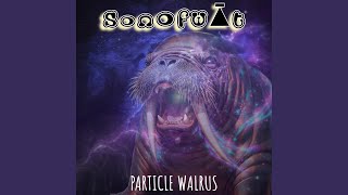 PARTICLE WALRUS