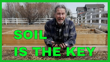 Understanding Soil (The Key to Success)