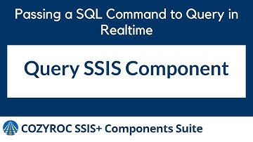 Query SSIS Component to retrieve data from a SQL database. COZYROC SSIS+ components and tasks