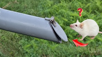 PVC PIPE TRICKS. How To Prevent Rats, Snakes, Cockroaches, From Getting Into The Sewer Pipe?