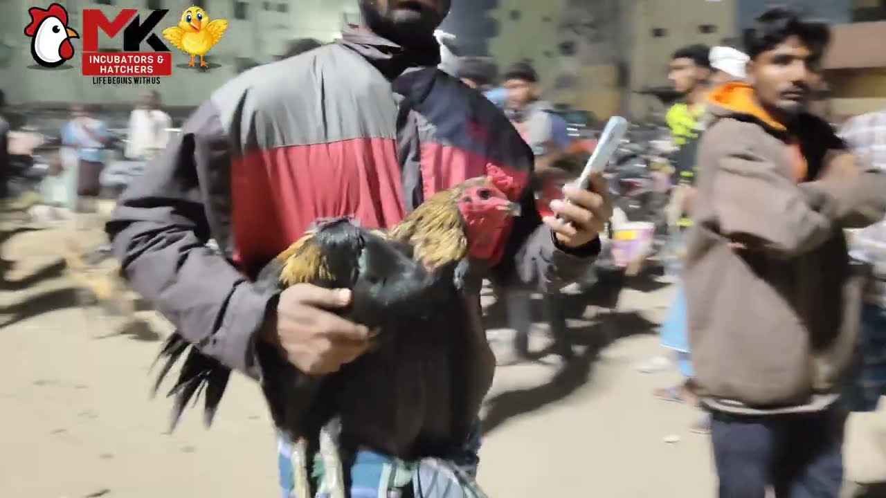 Konganapuram nattu koli sandhai 