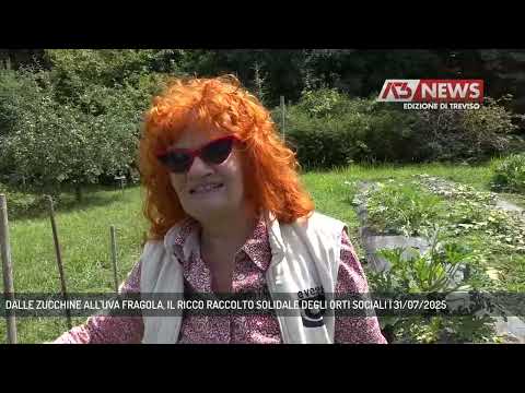 DALLE ZUCCHINE ALL'UVA FRAGOLA, IL RICCO RACCOLTO SOLIDALE DEGLI ORTI SOCIALI | 31/07/2025