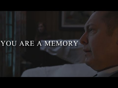 You Are A Memory || Multifandom (Tribute)