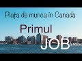 Piata de munca in Canada | Cum gasim primul job