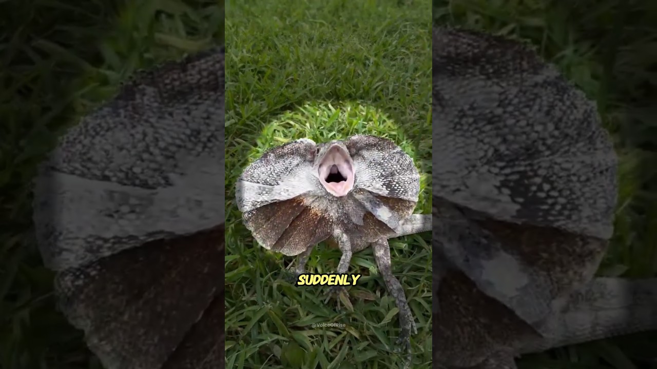 Tiny Dinosaurs Cause MASSIVE CHAOS