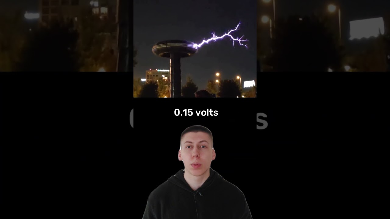 How Do Electric Eels Make Electricity?