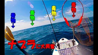 【サップ釣り】青物釣りたい！ナブラを目の当たりにし大興奮！波を上手く回避する方法！サップフィッシング~SUP Fishing#サップ釣り#SUP釣り#ナブラ#SUP Fishing