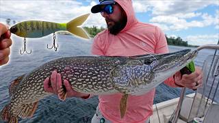 Glide Bait Fishing for Big Northern Pike