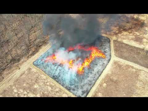Wildlife Habitat Hints: Prescribed Fire Techniques – Ring Fire