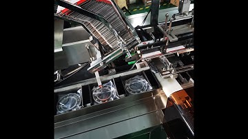 Automatic Adjustable Bearing Carton Box Packing Machine