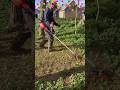 Brush Cutter வைத்திருக்கும் விவசாயிகளுக்கு தோள்பட்டை வலியிலிருந்து நிரந்தர தீர்வு Trolley Attachment