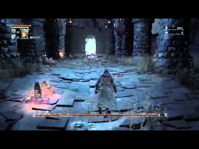 【Bloodborne】サルでも分かるブラッドボーン解説実況　【Part8】