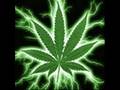 mix marihuana