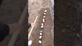                - اسمعها
