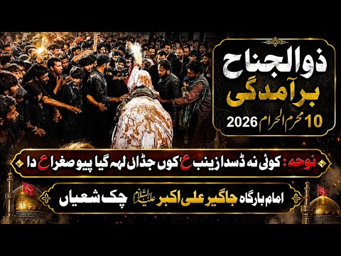 کوئی نہ ڈسدا زینب ع کوں جڈاں لہہ گیا پیو صغرا ع دا ||ذوالجناح برآمدگی عاشور 2026 ||  چک شعیاں