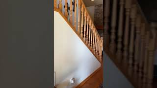 4220 S. Lariat Loop, Flagstaff,A, 86001