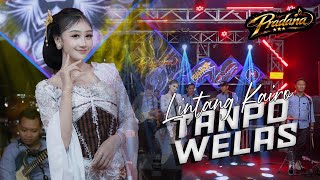 Download lagu LINTANG KAIRO - TANPO WELAS ( Cipt. M. KHUSNUN) - OM. PRADANA ( COVER )