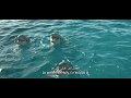 Bernie The Dolphin Official Trailer