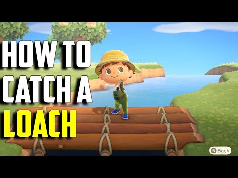 Video: How To Catch A Loach