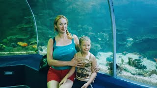 :     Sochi Discovery World Aquarium 12  2022 -  