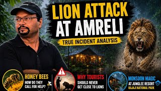 Amreli Lion Attack Explained | Bees, Lions & Monsoon ! Evening Walk At Junglee Resort Rajaji Park