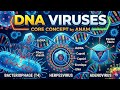 DNA viruses explained (Microbiology) For DPT, MBBS,MLT,RIT students in urdu