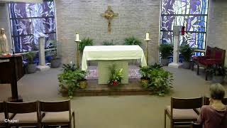 7-07-26: Tuesday of the 14th Week in Ordinary Time