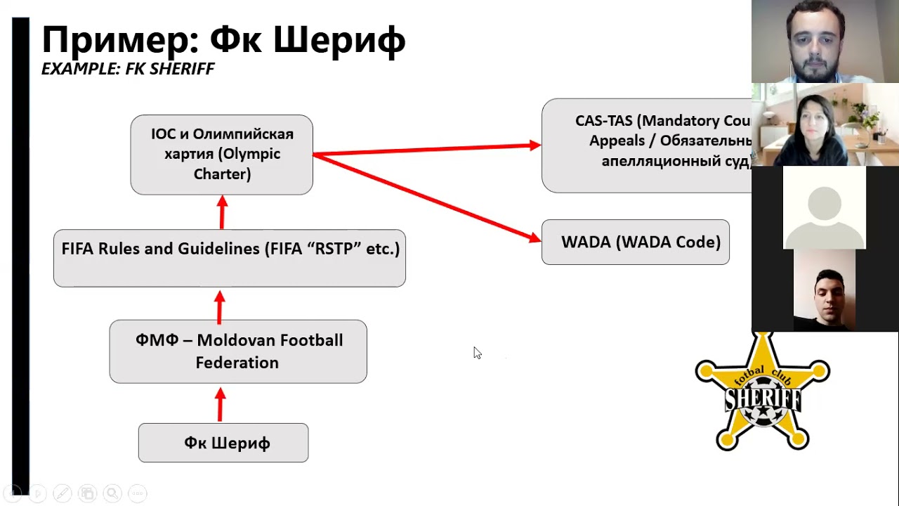 Краткое введение в Международное cпортивное право (Brief Introduction to International Sports Law)