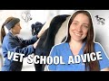 VET SCHOOL ADVICE FOR HIGH SCHOOL STUDENTS!