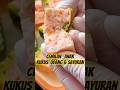 kukus udang, telur dan sayuran, baik untuk cemilan anak.#feedshorts # shorts #cooking #food