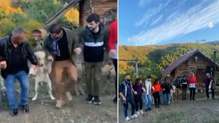 Halaydan Önce Köpek Için Kaçanlar Köpekle Beraber Halay Yaptılar